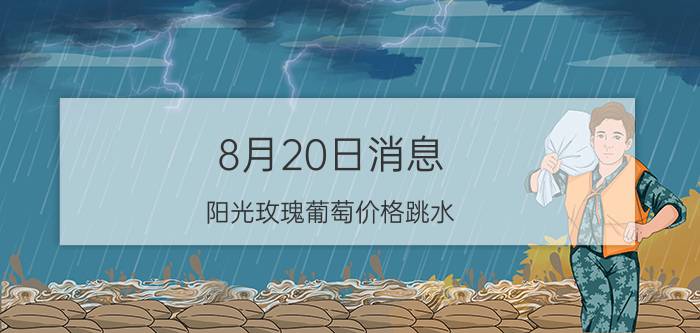 8月20日消息 阳光玫瑰葡萄价格跳水 现在价格是多少